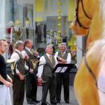 2008 - Jagdhornbläsertreffen St.Gallen