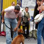 2008 - Jagdhornbläsertreffen St.Gallen
