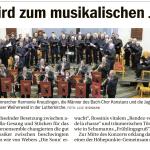 das kleine konzert in Konstanz - Südkurier 05.06.2025